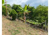 Fincas y Casas Campestres, Venta, Tuluá - $220.000.000