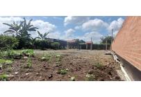 Lotes, Venta, El Cerrito - $185.000.000