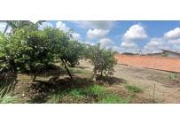 Lotes, Venta, El Cerrito - $185.000.000