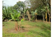 Fincas y Casas Campestres, Venta, La Cumbre