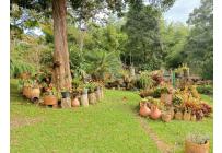 Fincas y Casas Campestres, Venta, La Cumbre