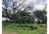 Lotes, Venta, Ciudad Bochalema - $1.200.000.000