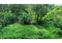 Lotes, Venta, Ciudad Bochalema - $1.200.000.000