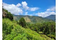 Lotes, Venta, Calima (Darién) - $500.000.000