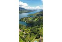 Lotes, Venta, Calima (Darién) - $500.000.000