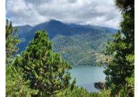 Lotes, Venta, Calima (Darién) - $500.000.000