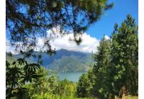 Lotes, Venta, Calima (Darién) - $500.000.000