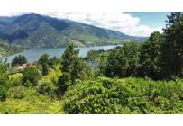 Lotes, Venta, Calima (Darién) - $500.000.000