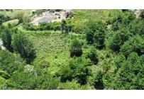 Lotes, Venta, Calima (Darién) - $500.000.000