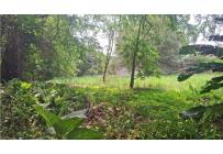 Lotes, Venta, Pance - $1.600.000.000