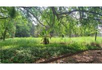 Lotes, Venta, Pance - $1.600.000.000