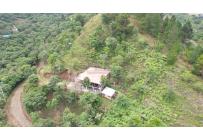 Fincas y Casas Campestres, Venta, Vijes - $297.000.000
