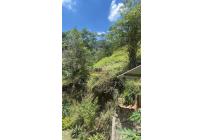 Fincas y Casas Campestres, Venta, Vijes - $297.000.000