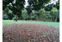 Lotes, Venta, Pance - $2.100.000.000