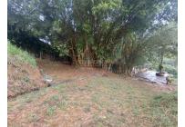 Lotes, Venta, La Buitrera - $295.000.000