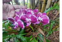 Lotes, Venta, La Buitrera - $295.000.000