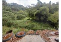 Lotes, Venta, La Buitrera - $295.000.000