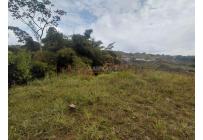 Lotes, Venta, La Buitrera - $295.000.000