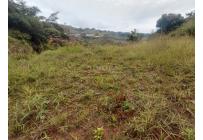 Lotes, Venta, La Buitrera - $295.000.000