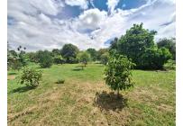 Lotes, Venta, Ginebra - $600.000.000