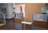 Casas, Venta, Versalles - $1.100.000.000