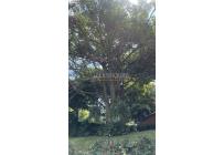 Casas, Venta, Ciudad Jardín - $750.000.000