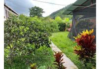 Fincas y Casas Campestres, Venta, Palmira - $260.000.000