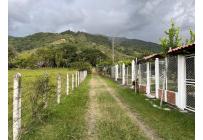 Fincas y Casas Campestres, Venta, Palmira - $260.000.000