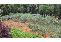 Casas, Venta, Yumbo - $600.000.000