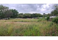 Lotes, Alquiler, Ciudad Jardín - $55.000.000