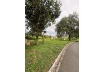 Lotes, Venta, Cartago - $350.000.000