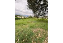 Lotes, Venta, Cartago - $350.000.000