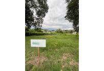 Lotes, Venta, Cartago - $350.000.000