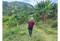 Fincas y Casas Campestres, Venta, Anserma - $1.100.000.000