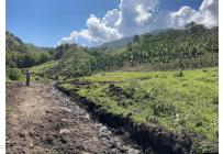 Fincas y Casas Campestres, Venta, Anserma - $1.100.000.000