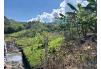 Fincas y Casas Campestres, Venta, Anserma - $1.100.000.000