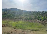 Fincas y Casas Campestres, Venta, Anserma - $1.100.000.000