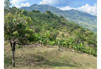 Fincas y Casas Campestres, Venta, Anserma - $1.100.000.000