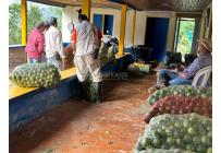 Fincas y Casas Campestres, Venta, Anserma - $1.100.000.000