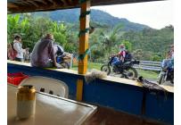 Fincas y Casas Campestres, Venta, Anserma - $1.100.000.000