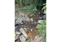 Fincas y Casas Campestres, Venta, Anserma - $1.100.000.000