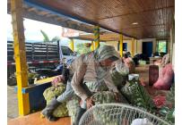 Fincas y Casas Campestres, Venta, Anserma - $1.100.000.000