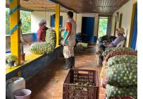 Fincas y Casas Campestres, Venta, Anserma - $1.100.000.000