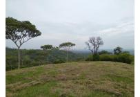 Lotes, Venta, Pance - $1.300.000.000