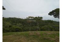 Lotes, Venta, Pance - $1.300.000.000