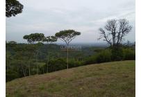 Lotes, Venta, Pance - $1.300.000.000