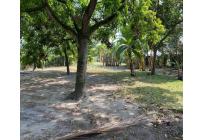 Fincas y Casas Campestres, Venta, Candelaria - $700.000.000