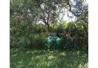 Fincas y Casas Campestres, Venta, Candelaria - $700.000.000