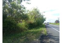 Fincas y Casas Campestres, Venta, Candelaria - $700.000.000