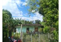 Fincas y Casas Campestres, Venta, Candelaria - $700.000.000